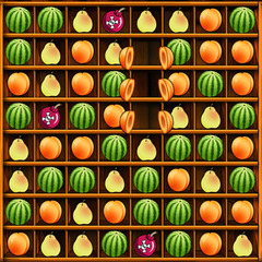 Fruit Matching